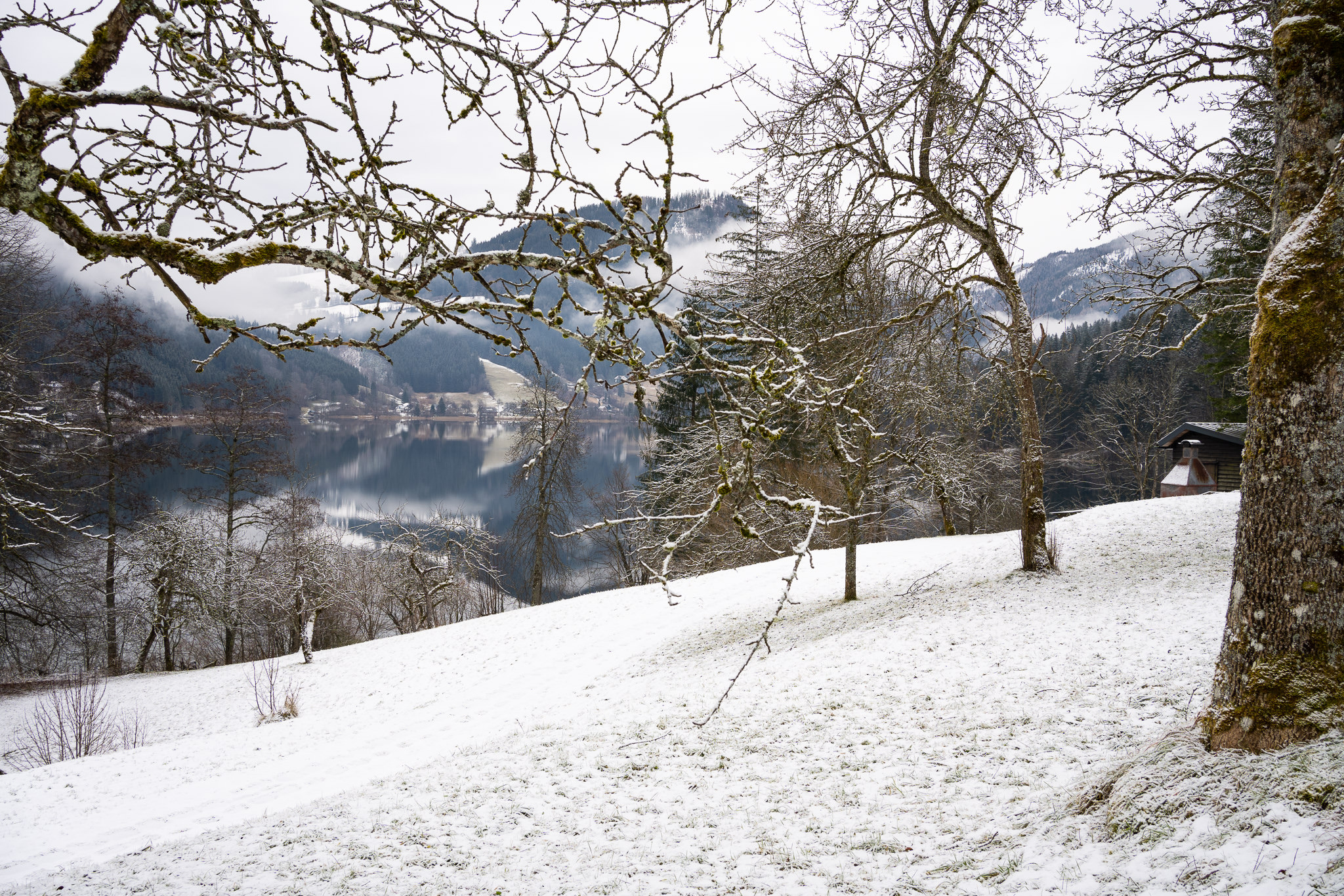 Winter walk at Lunzer See 3